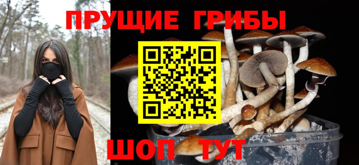 Псилоцибиновые грибы мицелий Барабинск